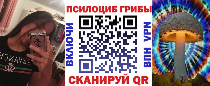 магазин продажи   Майский  Псилоцибиновые грибы Psilocybe 