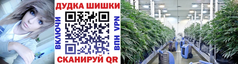 наркота  hydra сайт  Канабис AK-47  Майский 